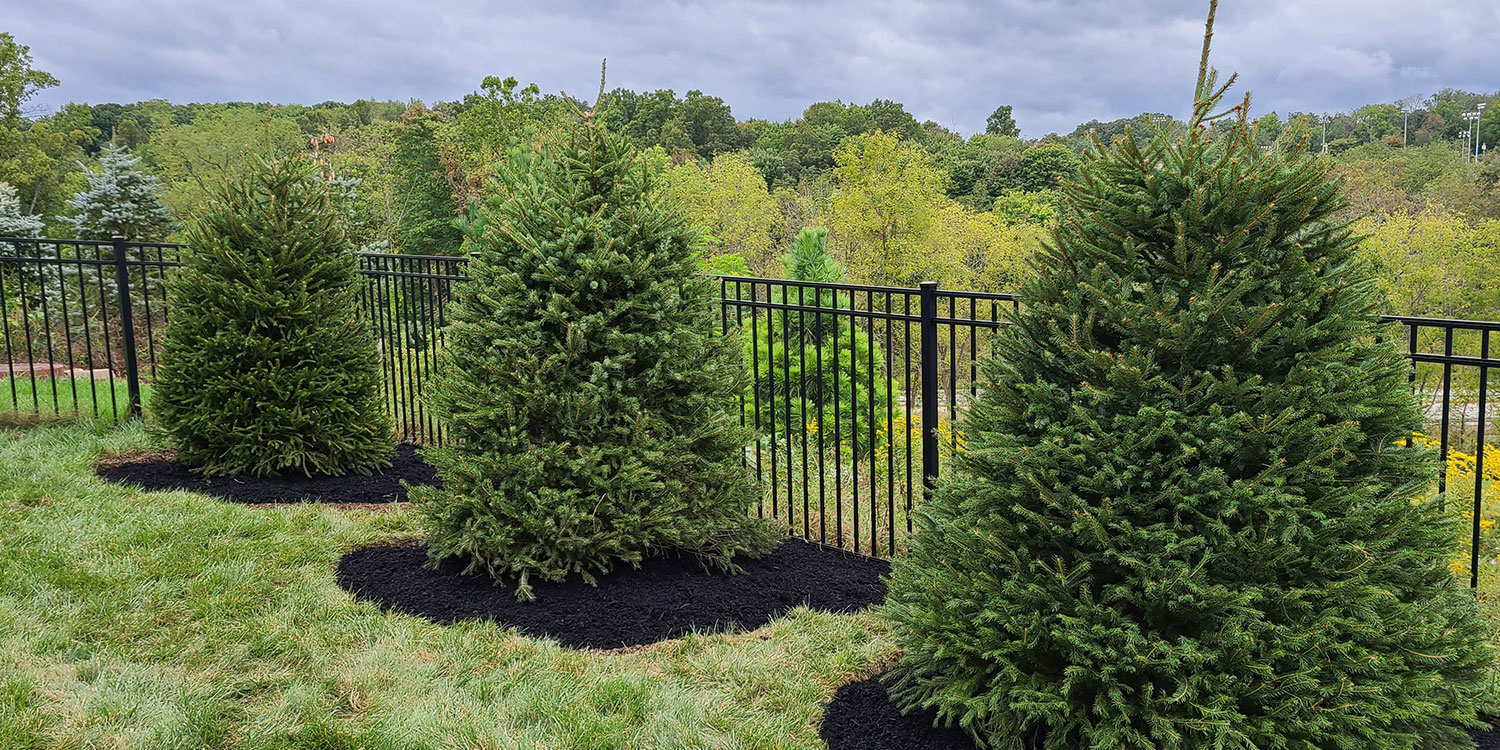 McGinn Hardscaping - Dry Stack Kodah Wall